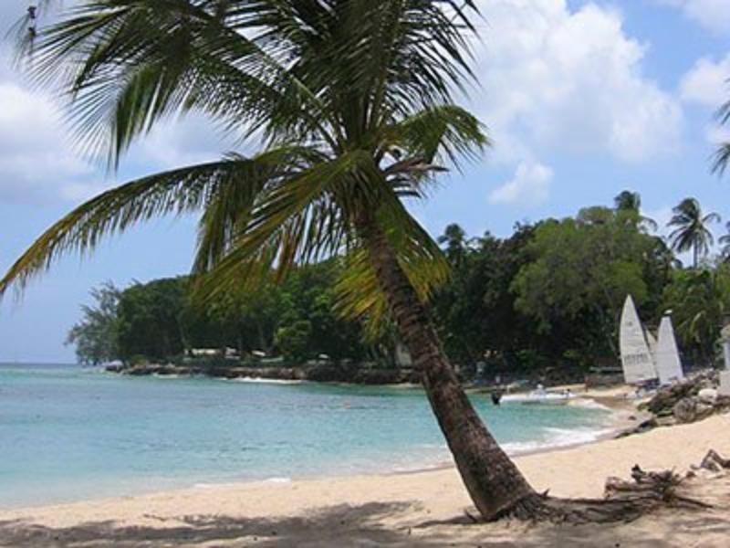 Starfish Discovery Bay Holetown Esterno foto
